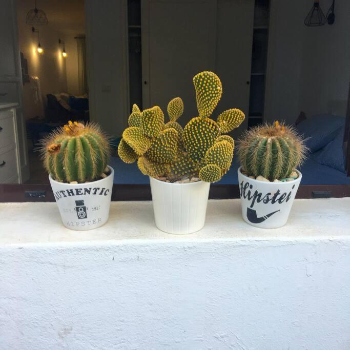 Vivienda Vacacional Cactus 코스타 테기세 외부 사진